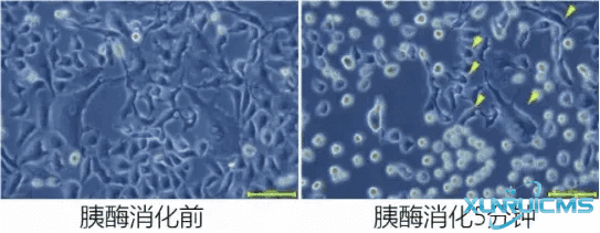 微信圖片_20241016153901