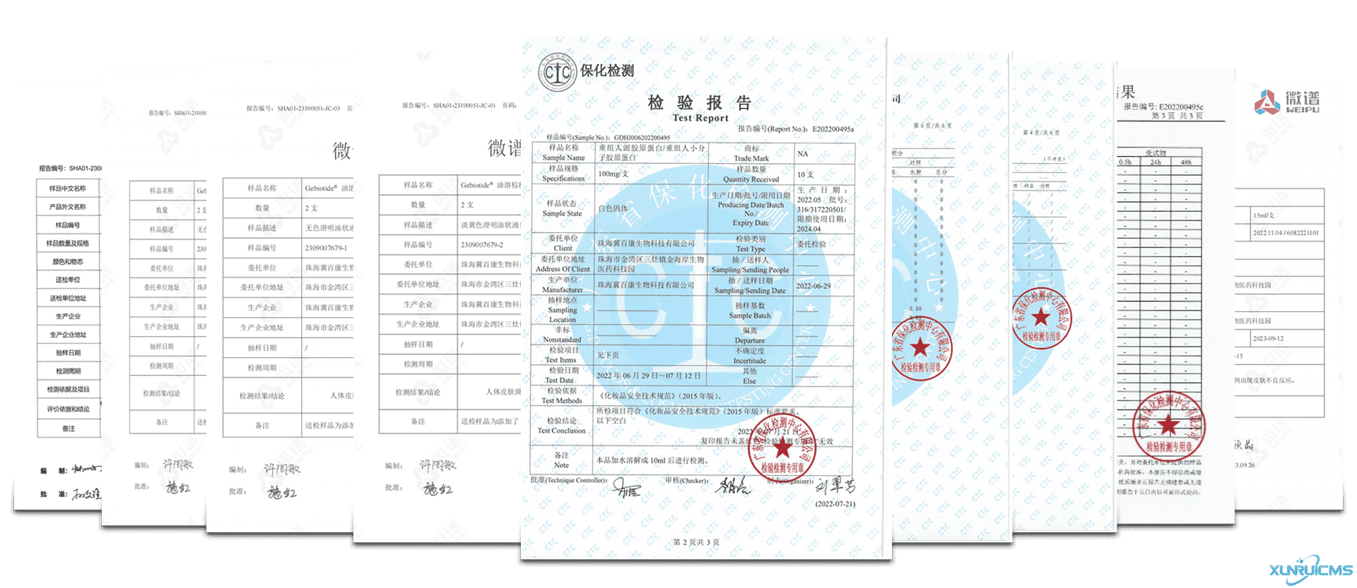 微信圖片_20241017141231