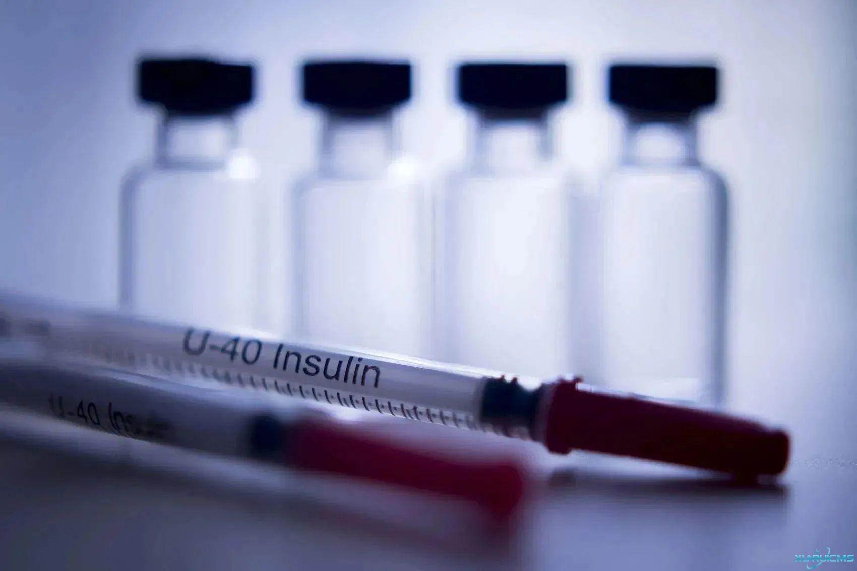 微信圖片_20241017142259