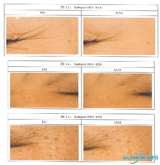 微信圖片_20241030135620