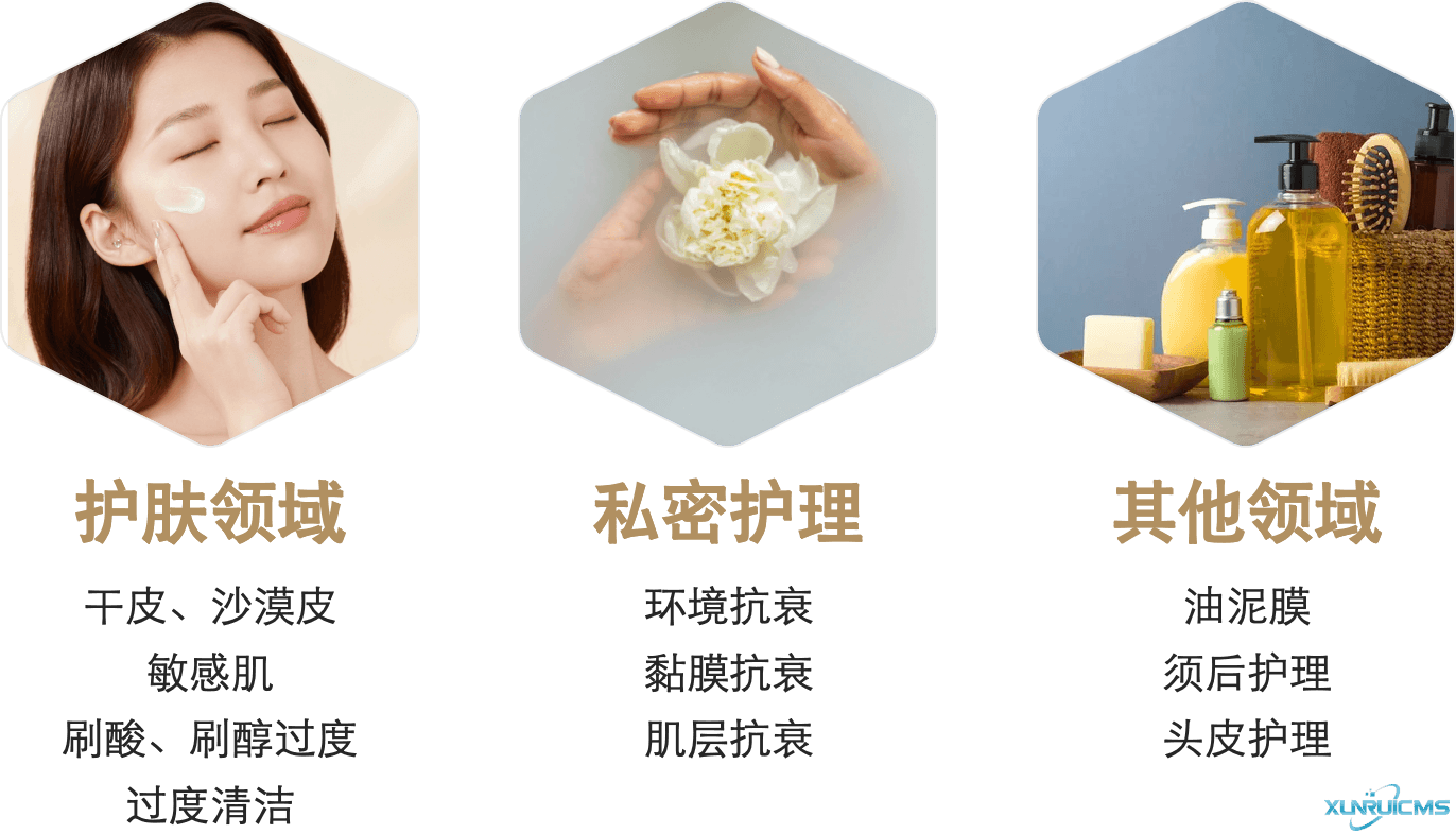 微信圖片_20241101101900